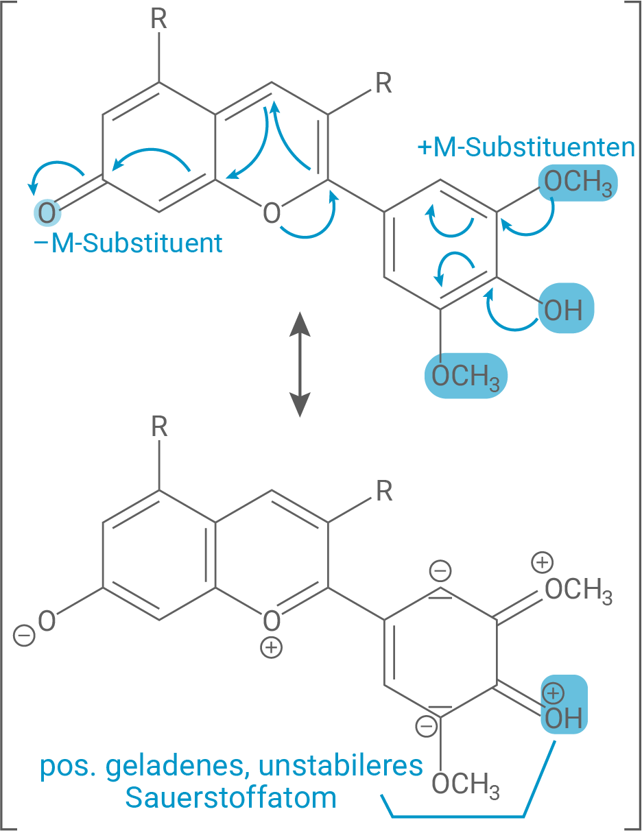 Chemische Struktur mit M-Substituenten und Reaktionsmechanismus, dargestellt in schematischer Form.